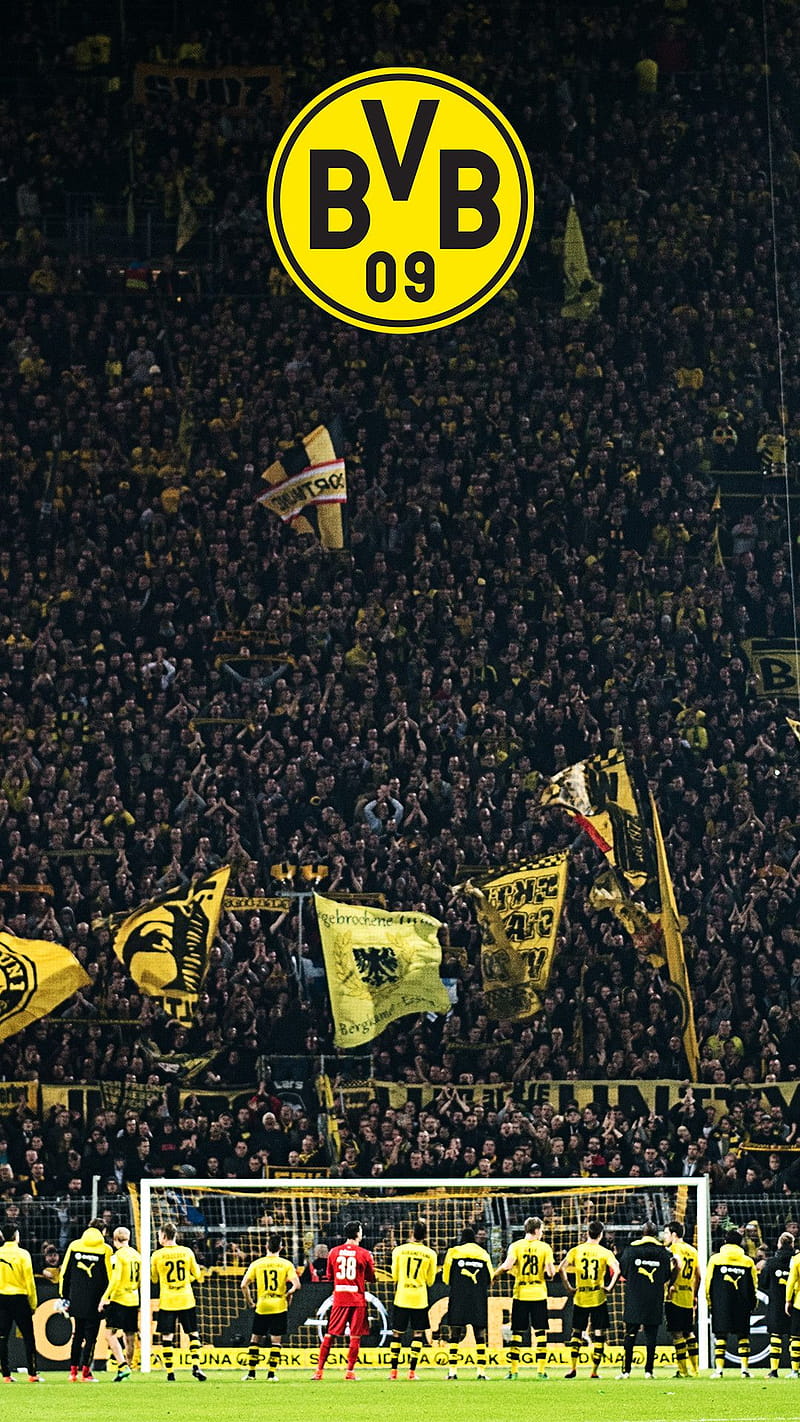 lebih dekat yellow wall ultras dortmund